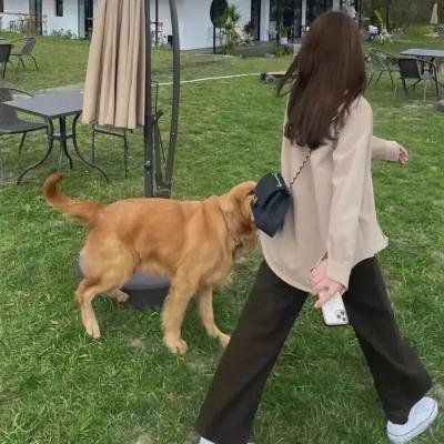 自由世界